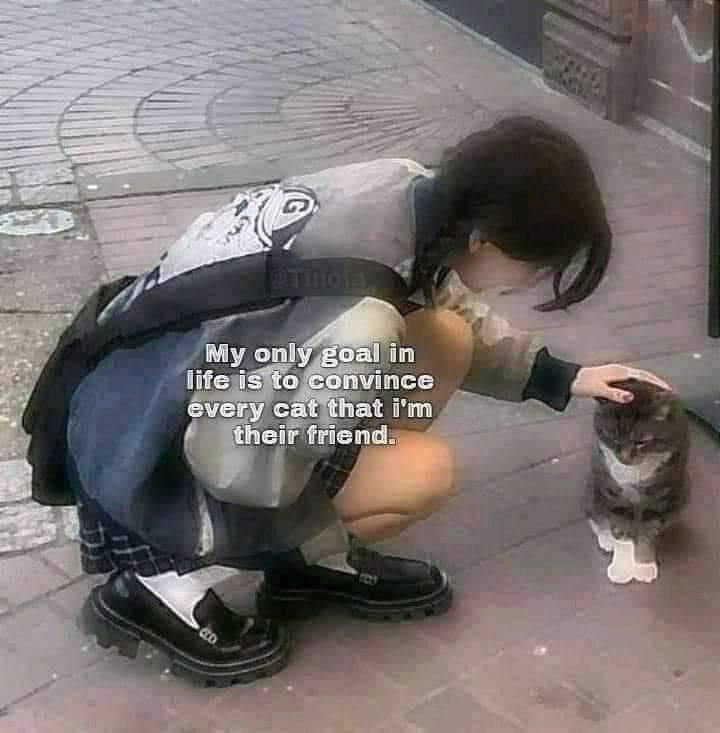 2fb7653b7b5d76520c6ed343.jpg