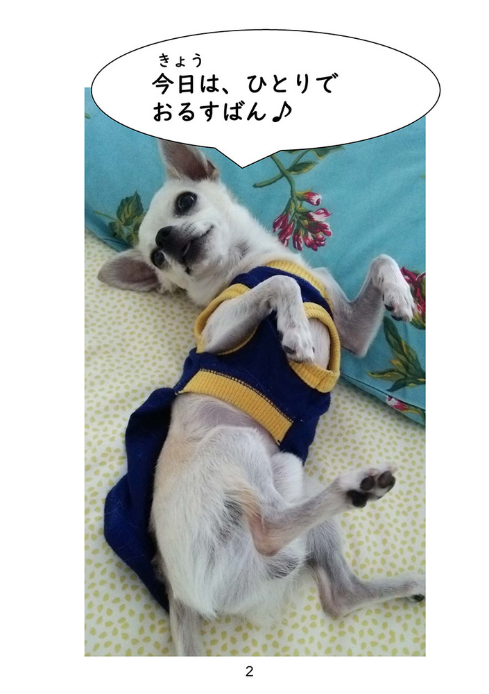 74f2d406a37373f2db0f8503.png